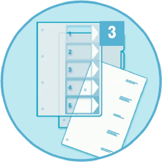 Esselte MAXI skirtukai su 1-6 numeracija