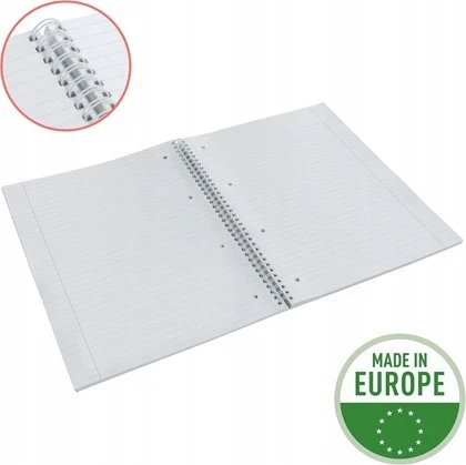 Esselte Color'Breeze užrašų knygelė A5 kvadratinė žalia