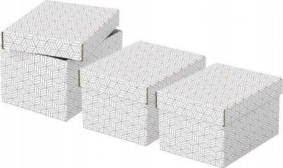 Daiktadėžė ESSELTE, su dangteliu, 200x150x255, balta-pilka (3vnt./pak.)