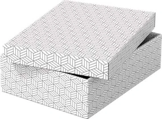 Daiktadėžė ESSELTE, su dangteliu, 265x100x360 balta-pilka (3vnt./pak.)