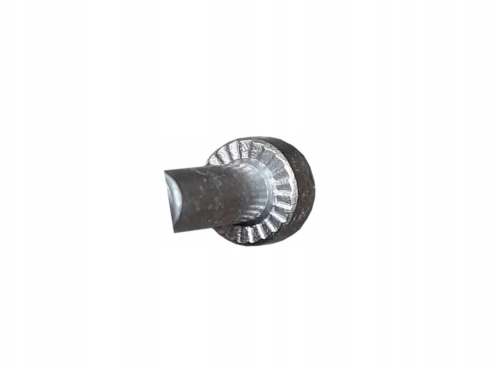Grąžtas Terasų medsraigčiai Essve, 4.8 x 75 mm, TX20, 250 vnt.