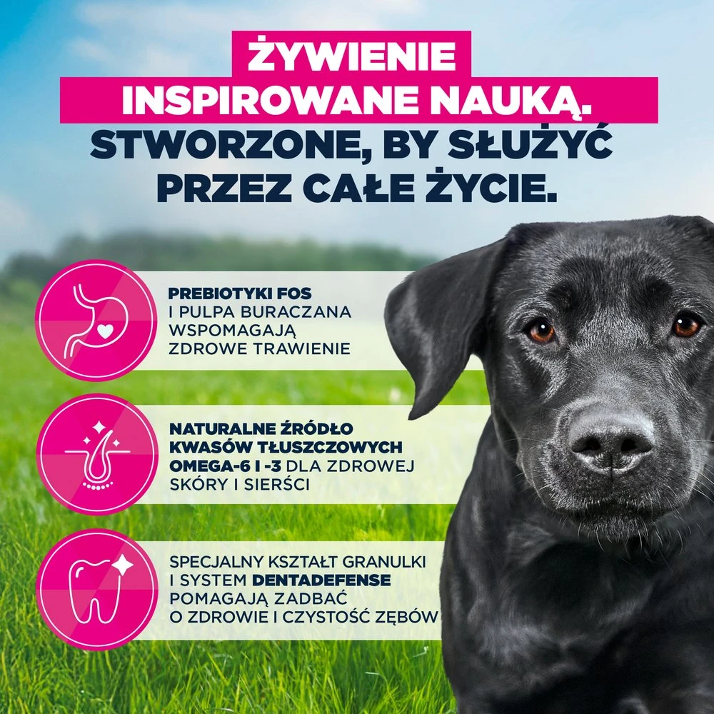 Eukanuba Life Care sausas pašaras didelių veislių šunims su vištiena, L, 15 kg