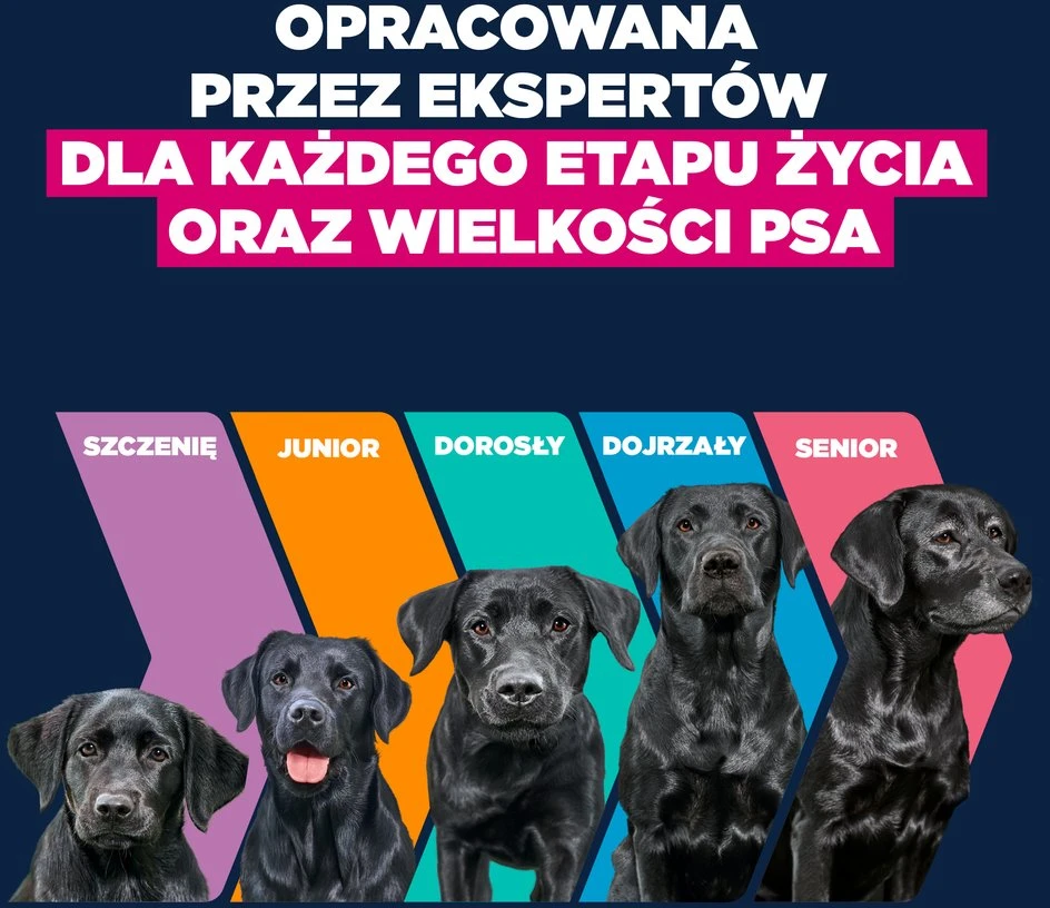 Eukauba Life Care Junior Large sausas maistas didelių veislių jauniems šunims su vištiena, 15 kg