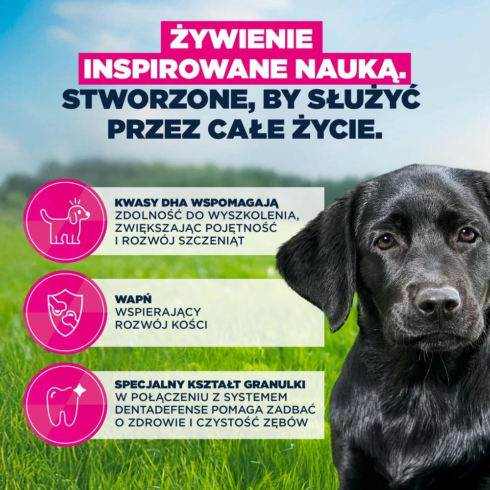 Eukauba Life Care Junior Large sausas maistas didelių veislių jauniems šunims su vištiena, 15 kg