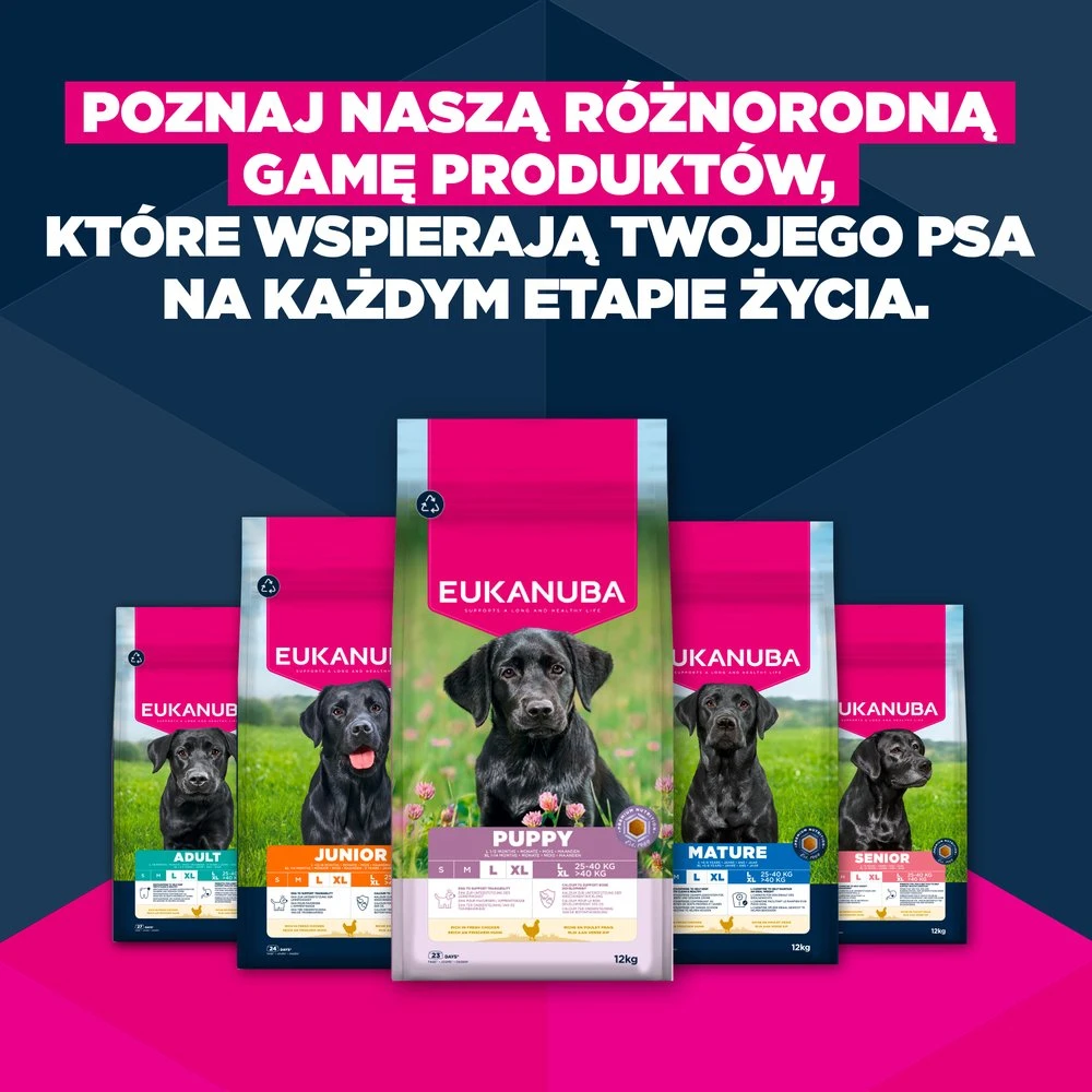 Eukauba Life Care Junior Large sausas maistas didelių veislių jauniems šunims su vištiena, 15 kg