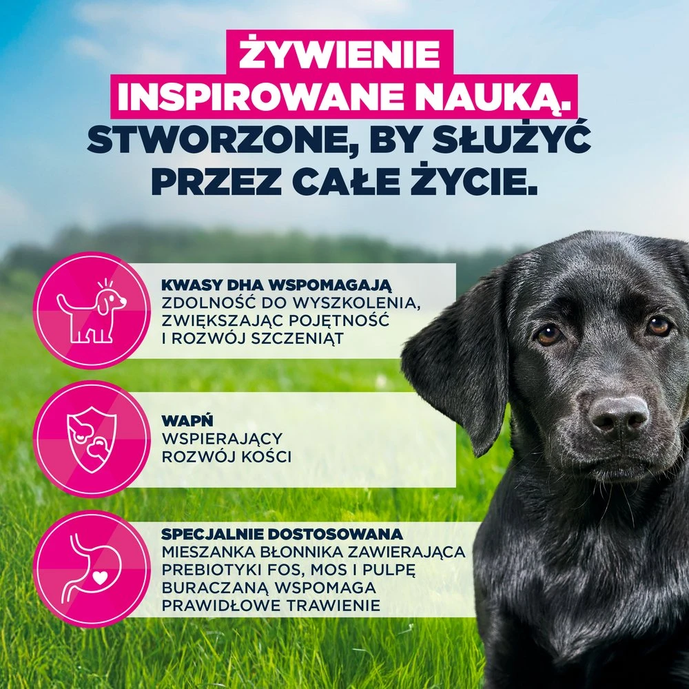 Eukanuba Puppy & Junior L/XL Lamb & Rice 12kg