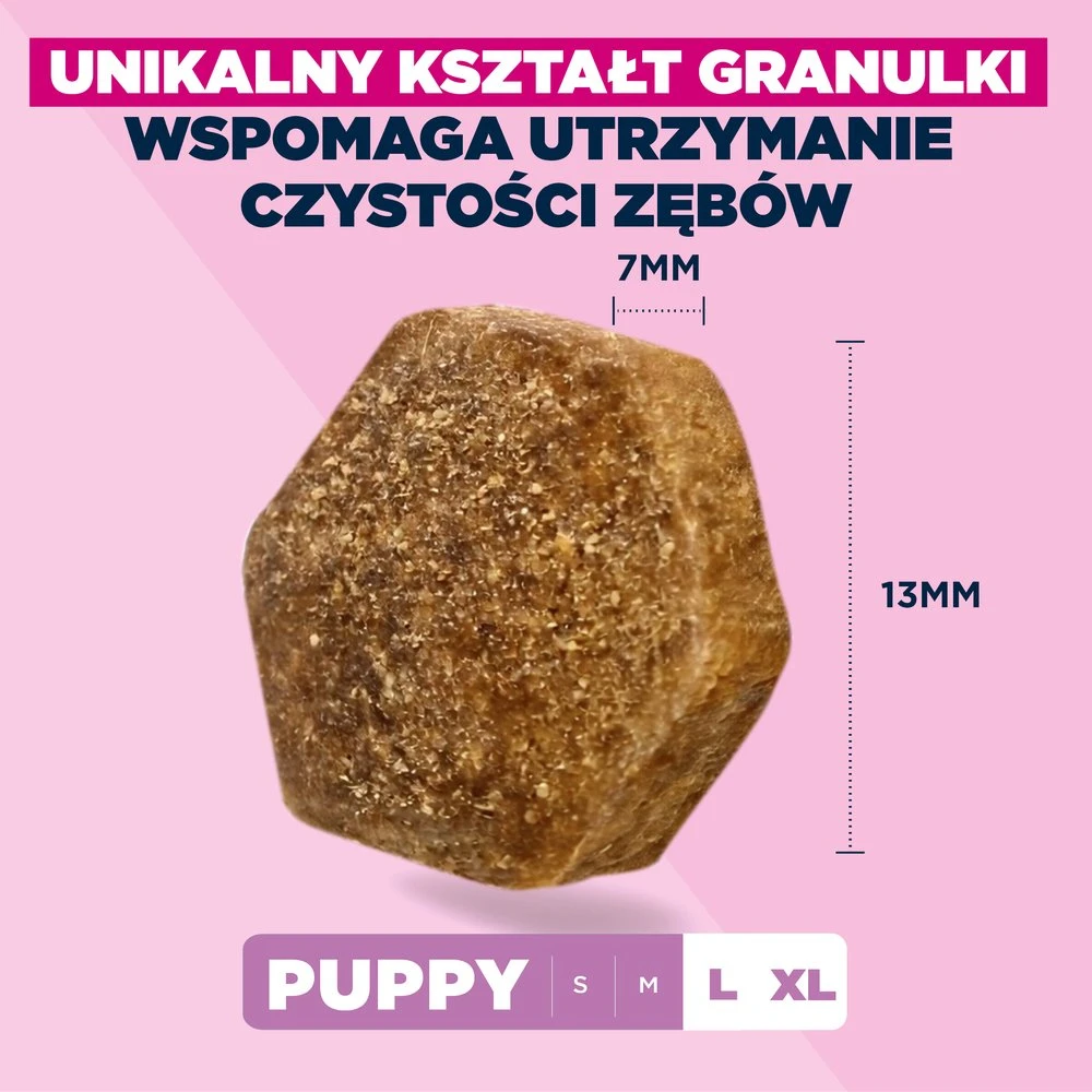 Eukanuba Puppy & Junior L/XL Lamb & Rice 12kg