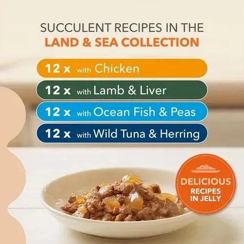 Eukanuba IAMS Senior Meat & žuvis Mix in Jelly box – šlapias pašaras katei – 48x85g