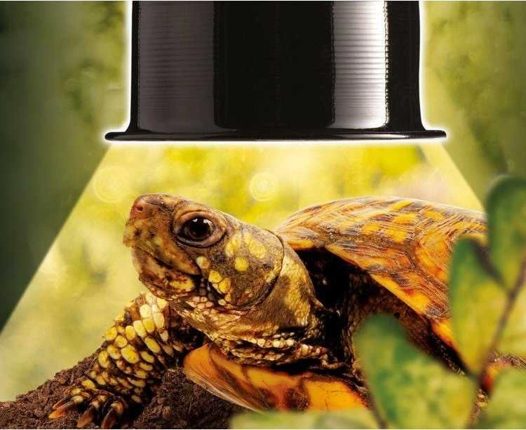 Exoterra „Exo Terra“ – roplių kupolas, mažas, Ø15 cm, maks. 75 W – (220.7076)