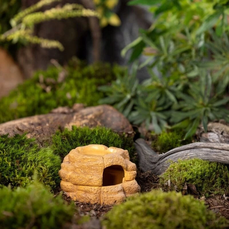 Exo Terra Big Rock slėptuvė su dubeniu, terariumui, keraminė, S, 11x13x8 cm, 20 ml