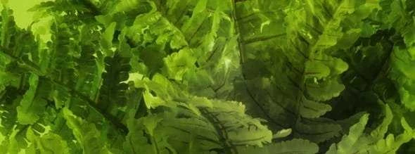 Exo Terra Boston Fern lapų tekstūra