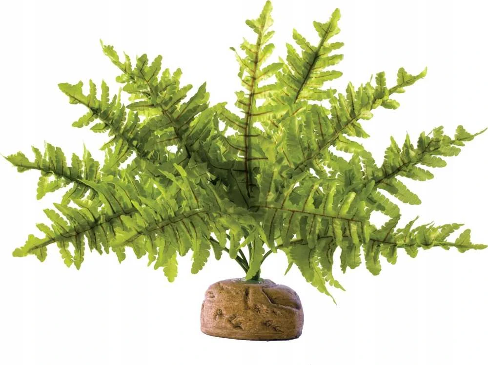 Exo Terra Dirbtinis augalas – Boston Fern, M