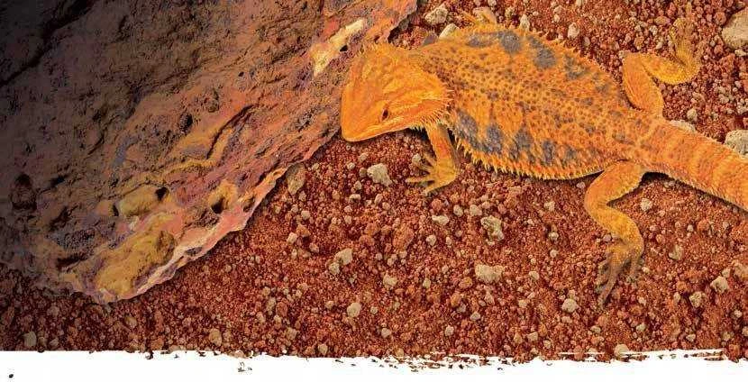 Exo Terra Stone Desert substratas, raudona dykuma, 10kg