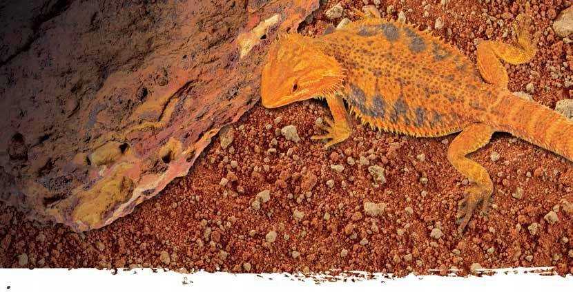 Exo Terra Stone Desert substratas, raudona dykuma, 20kg