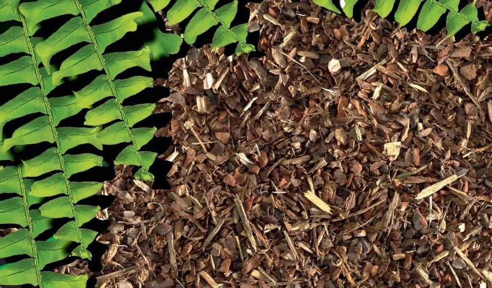 Exo Terra Terrarium substratai Jungle Earth, 26,4L