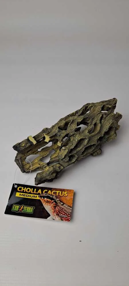 Exo Terra Cholla Cactus dekoracija kaktusas