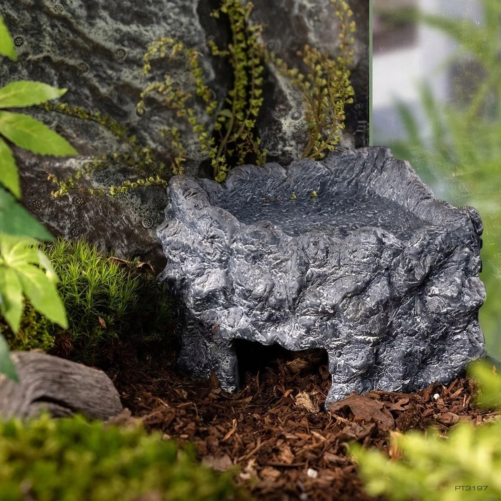 Exo Terra Wet Rock, slėptuvė su dubeniu, terariumui, keraminė, L, 21x15,5x11,5 cm, 150 ml, kampinė