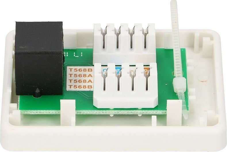 Extralink | Lizdas natynkowe | 1x RJ45 KAT5E UTP