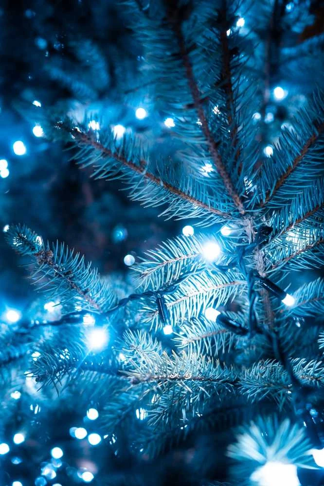 Extralink Kalėdinės LED girliandos, 200 LED, šaltai balta šviesa, 10 m