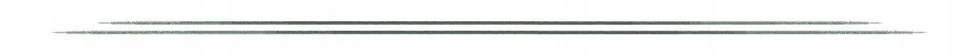 Extralink | Metalo detektorius | GP-pointer juodas SA-980