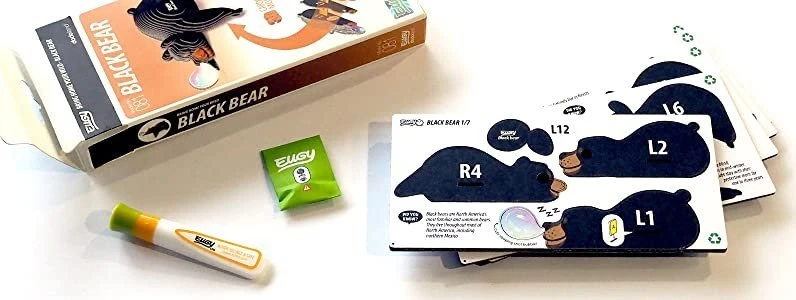 Fat Brain Toys Rudasis lokys Eugy. Eko* 3D dėlionė