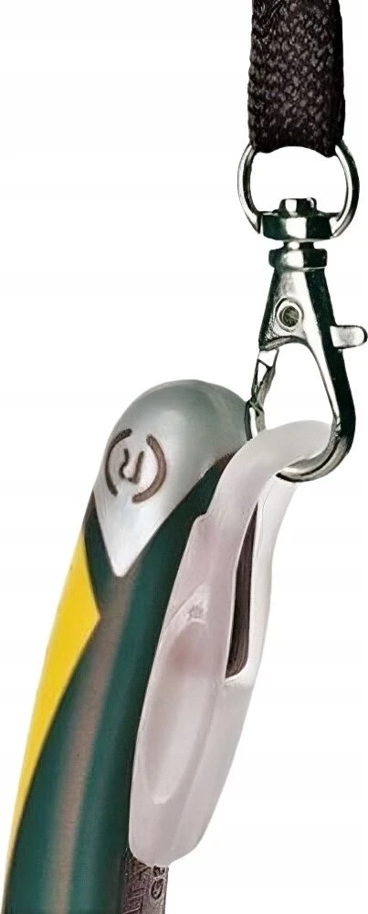 Felo Lanyard