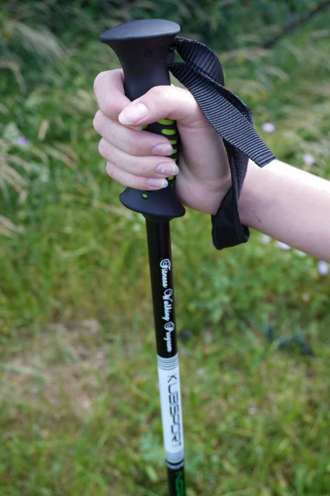 Ferrino lazdos trekingui šiaurietiškam ėjimui sulankstomos su amortizacija KUBISPORT 72-145 cm