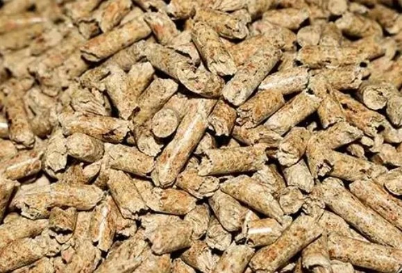 „Ferroli BIOPELLET PRO 24“ granulinis katilas, kurio galios diapazonas yra 7,5–24,00 kW. FERROLI