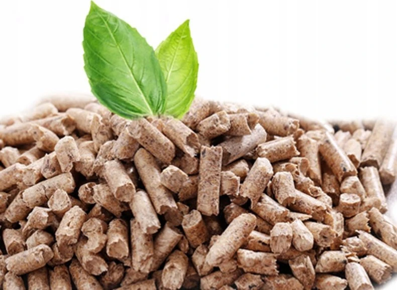 Ferroli BIOPELLET PRO18 GRANULIŲ ANTKLĖ, VANDENS STRUKĖ