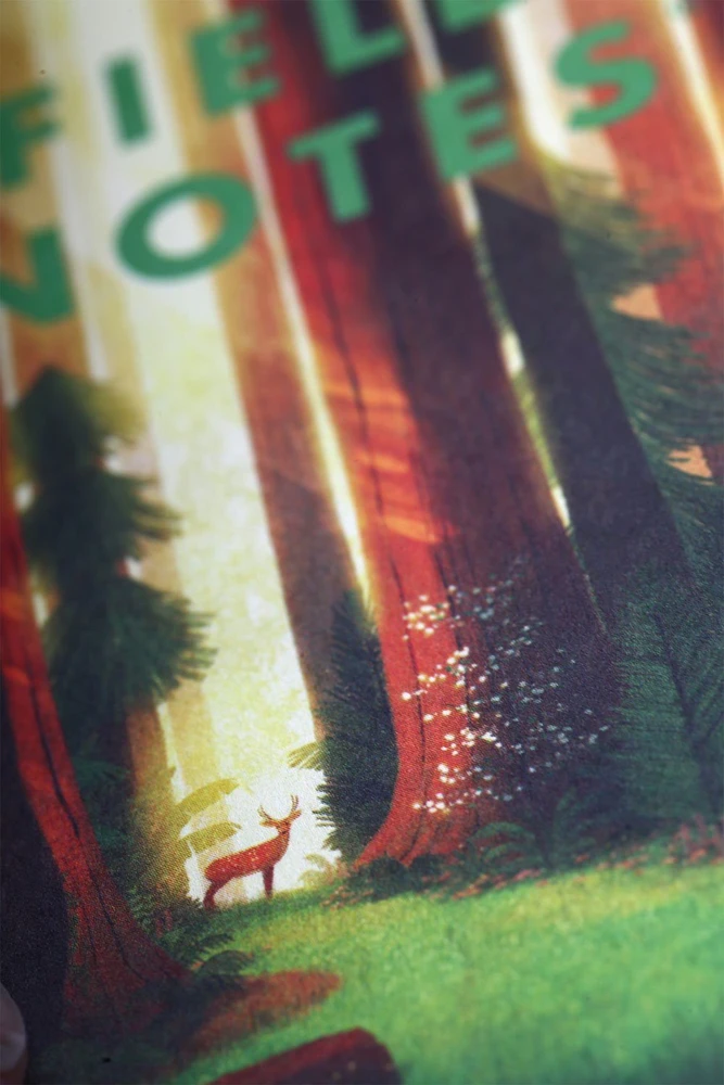 Field Notes „Grand Notes“ JAV nacionaliniai parkai: Grand Teton, Arches, Sequoia 3 vnt.
