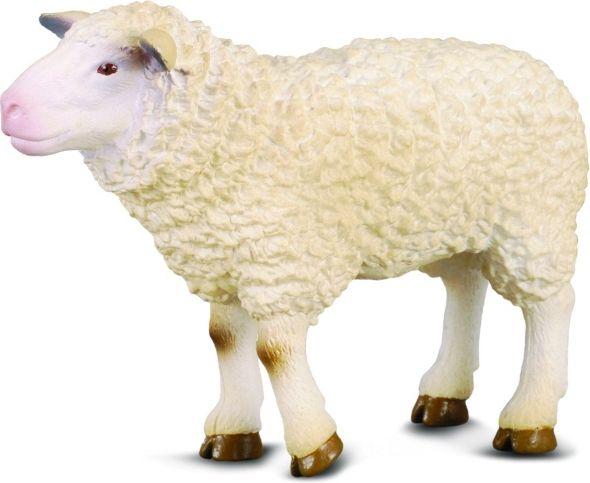 Collecta Figūrėlė Avis (M)