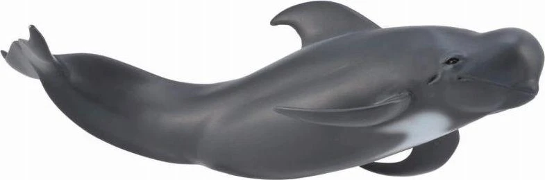 Collecta Figūrėlė - Ilgapelekė grinda aprašymas - Prekės nuotrauka