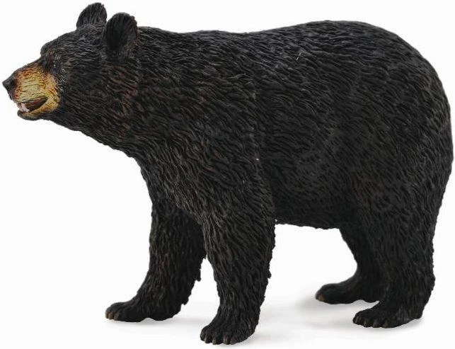 Collecta Figūrėlė Amerikietiškasis lokys (L)