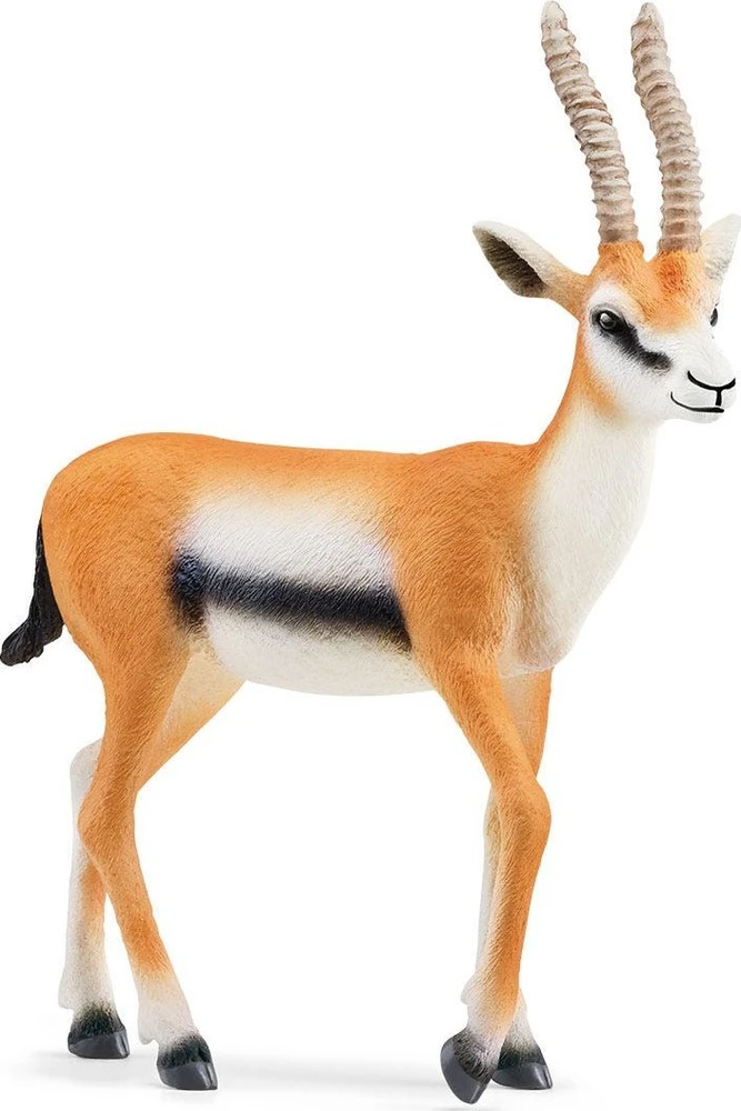 Schleich figūrėlė Tomsono gazelė