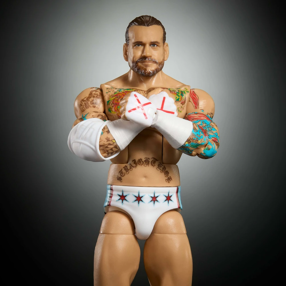 Figūrėlė Mattel Figūrėlė WWE Elite CM Punk JHT46