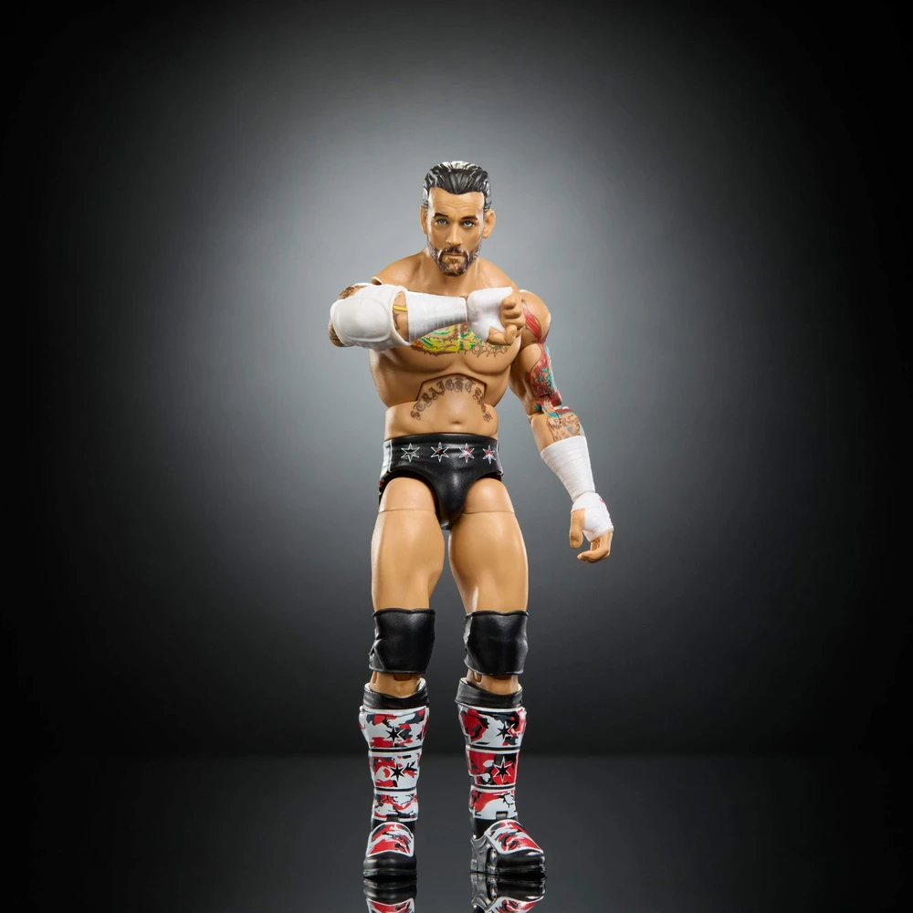 Figūrėlė Mattel WWE Elite Collection Top Picks CM Punk (JHV13)