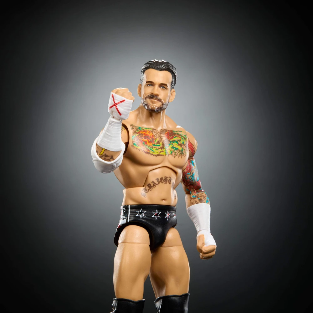 Figūrėlė Mattel WWE Elite Collection Top Picks CM Punk (JHV13)