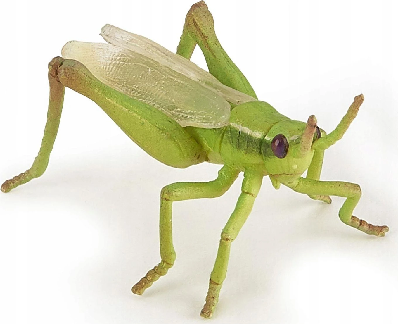 Figūrėlė Papo Konik polny