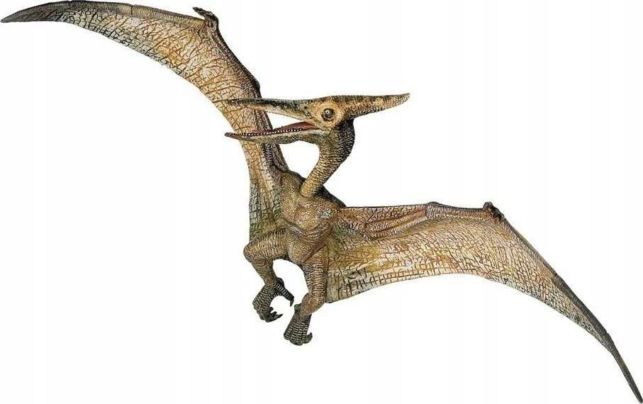 Kolekcionieriaus figūrėlės pteranodonas, papo