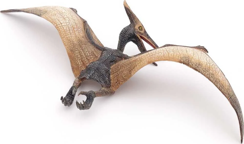 Kolekcionieriaus figūrėlės pteranodonas, papo