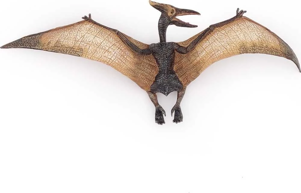 Kolekcionieriaus figūrėlės pteranodonas, papo