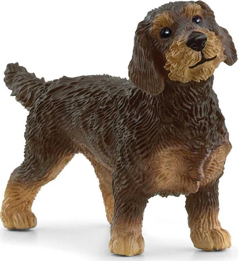 Schleich figūrėlė  Šiurkščiaplaukis taksas