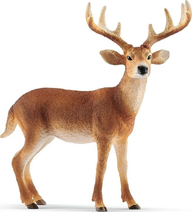 Schleich figūrėlė Baltauodegis elnias aprašymas - Prekės nuotrauka