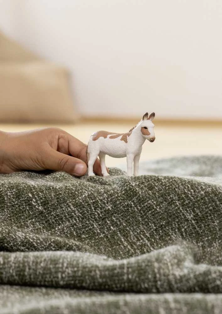 Schleich figūrėlė Amerikos dėmėtasis asilas