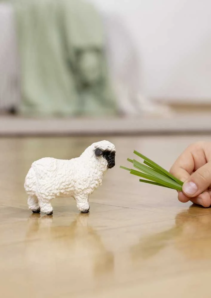 SCHLEICH FARM WORLD figūrėlė - Juodanosė avis