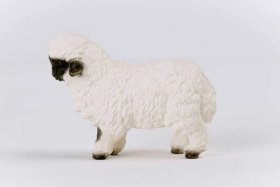 SCHLEICH FARM WORLD figūrėlė - Juodanosė avis