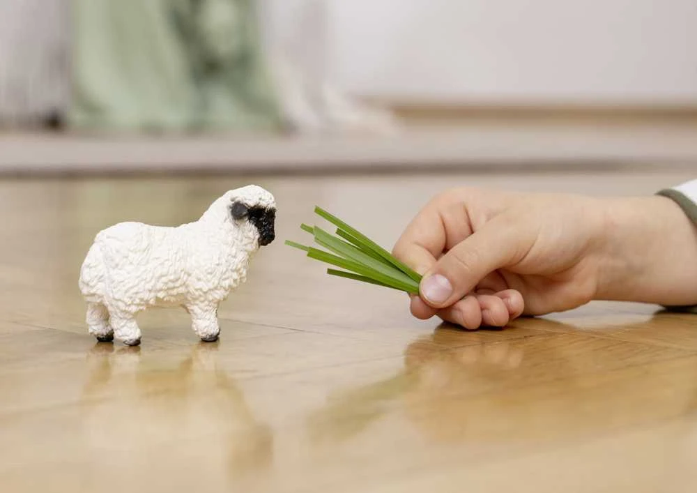 SCHLEICH FARM WORLD figūrėlė - Juodanosė avis