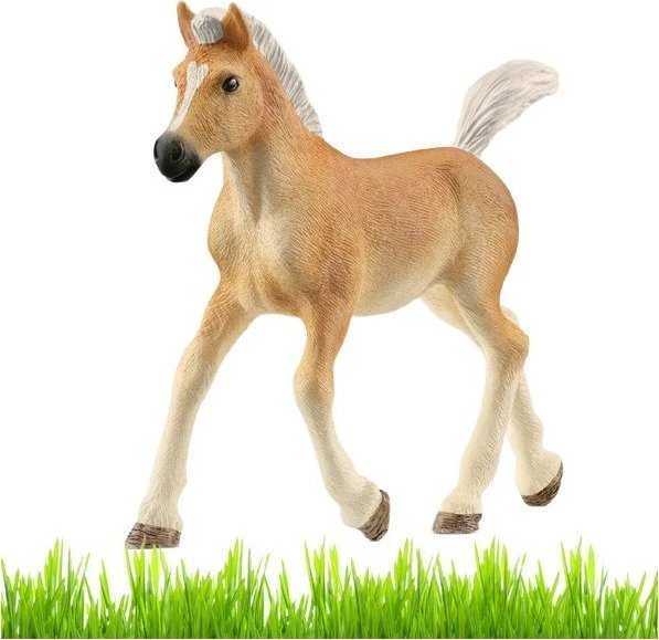 Schleich figūrėlė Haflinger veislės kumeliukas