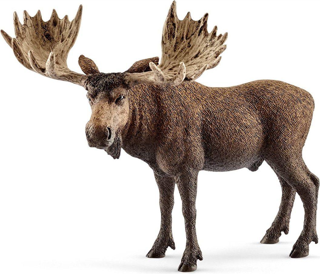 Schleich figūrėlė Briedis, patinas aprašymas - Prekės nuotrauka