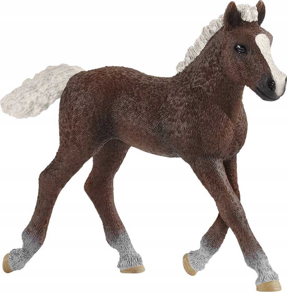 SCHLEICH Juodojo miško arklio kumeliukas